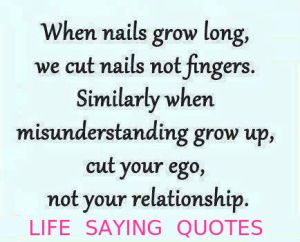 misunderstanding-quotes