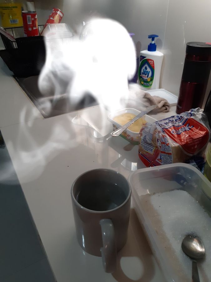 66352123_2288802141155791_8350093430528933888_n