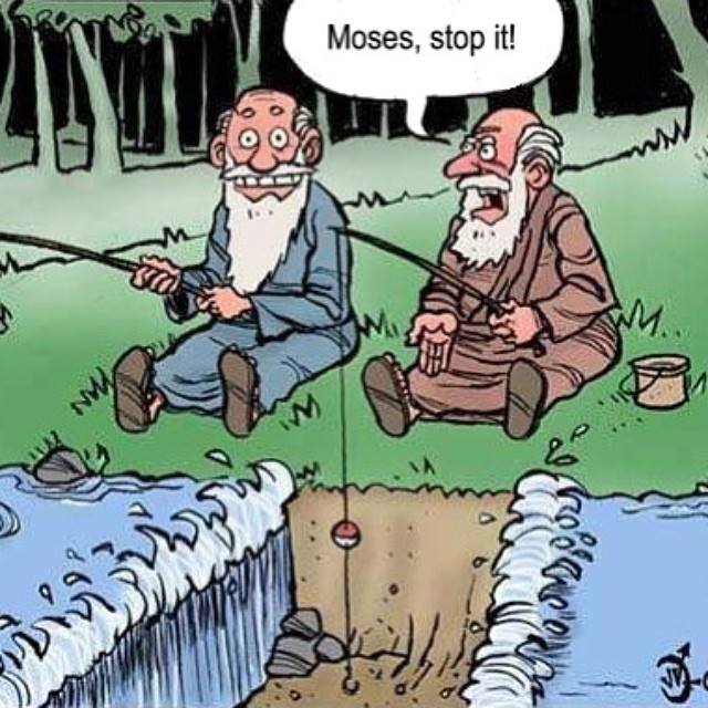 Moses_STOP_IT