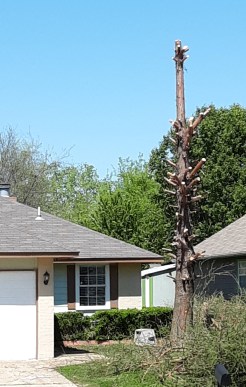 91878710_1505334622963387_7096843525702025216_n